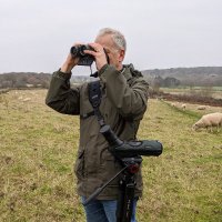 Martin George (@jannerbirder) 's Twitter Profile Photo Martin George (@jannerbirder) 's Twitter Profile Photo