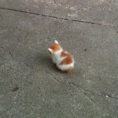 weareangyonsol's profile picture. Join our $angy mindset on Solana.

TG: https://t.co/Xd46QXiKzd
DS: https://t.co/CsFHYCrUK3