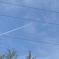 In The Trenches (@inthetrenches17) 's Twitter Profile