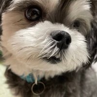 Makasevs (@makasevs_moon) 's Twitter Profile