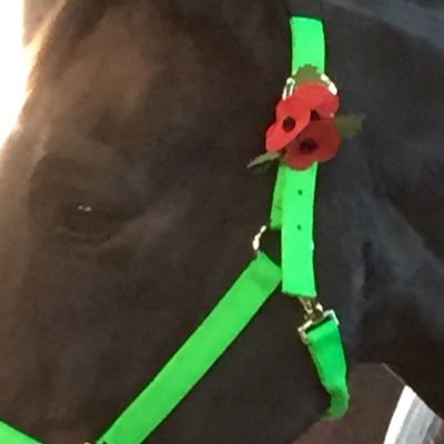 Maxoo2022's profile picture. I always drink my coffee WITHOUT sugar ❌Dementia, Child Bereavement, Prostate & Cervical cancer are the absolute pits.