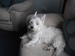 agriffin1960's profile picture. Always look on the bright side