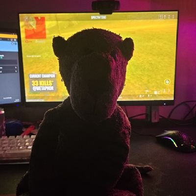 OrganicMirror55's profile picture. 