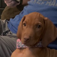 Todd Zerbenski (@zerbenski) 's Twitter Profile