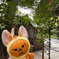 Maria (@2111_stay) Twitter profile photo