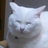 maloha0216's profile image