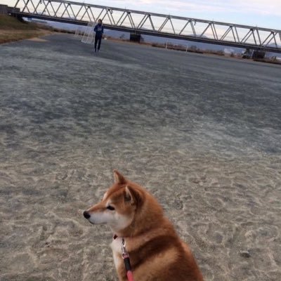 【静岡県を水産業で盛り上げる!】 お酒に呑まれた県庁職員||北海道庁→静岡県庁|漁師さんとお酒が好き|つぶやきはあくまで個人の見解です