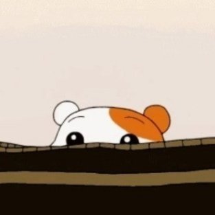 honghjjj_'s profile picture. 