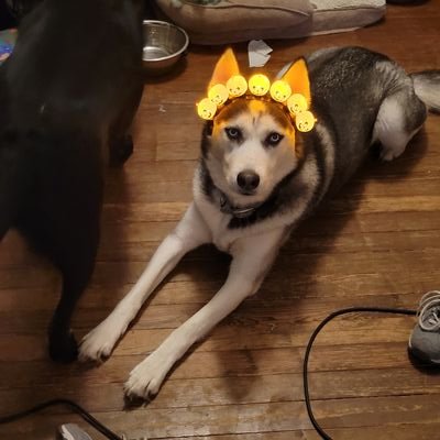 Travelfiend61's profile picture. NY Rangers fan