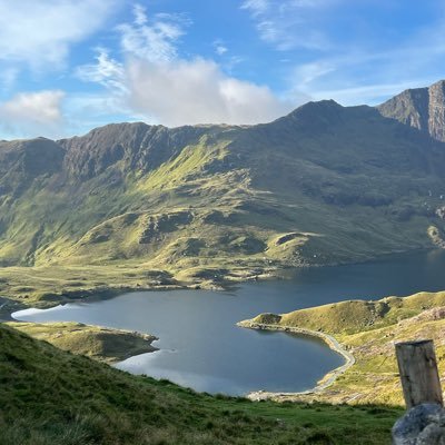 sartori_lu53787's profile picture. 