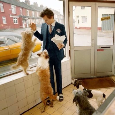 harrysoddsocks's profile picture. 🌷🏠 ~ It’s love that turns wherever you live into a home ~ 🏠🌷