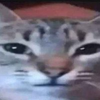 si te sigo sos furro y gay (@edgysoocc) 's Twitter Profile