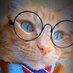 Dr. Gato (@gato544960) Twitter profile photo Dr. Gato (@gato544960) Twitter profile photo