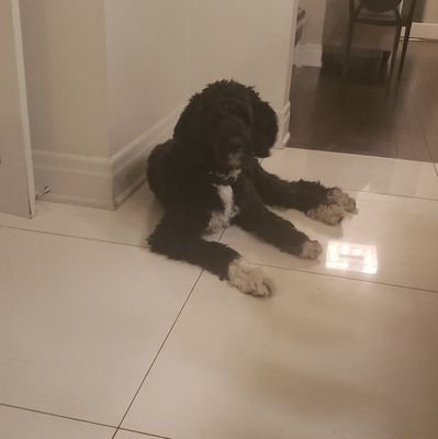 JonathonGr31934's profile picture. 