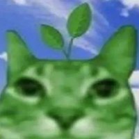 guy (@sillygal99) 's Twitter Profile