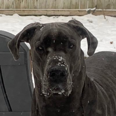 viresethonestaz's profile picture. MAGA  FOR  All !!  Our children , grandchildren  and future generations should have the same freedoms and opportunities that we have had.. it is that simple.