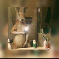 Diego Miranda (@diegoyt_15) 's Twitter Profile Photo Diego Miranda (@diegoyt_15) 's Twitter Profile Photo