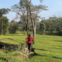 𝓐ηℂ卄𝐚𝕝✨ (@glittering_gal) 's Twitter Profile Photo 𝓐ηℂ卄𝐚𝕝✨ (@glittering_gal) 's Twitter Profile Photo