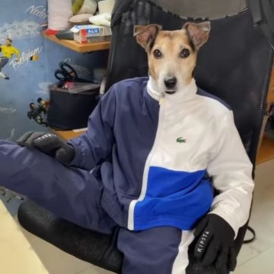 Monge_Bebado2's profile picture. 