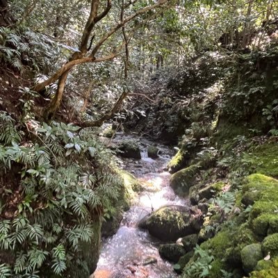 クソったれ根性論と飛行機雲