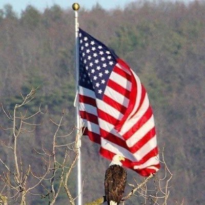 Archer6Rod's profile picture. Proud American, Self Employed, A Student of the American Experiment. Classical Liberal. Interested in Unbiased Facts.