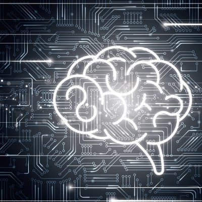 braindaizi's profile picture. 複数社経営。