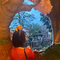 なみ (@nana___de) 's Twitter Profile