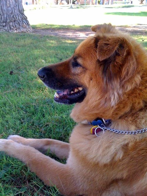 jordanssimon's profile picture. commercial real estate,book author, finance, news/weather junkie, fitness, 21st century observer, dog lover