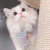baby (@baby1727830) Twitter profile photo baby (@baby1727830) Twitter profile photo