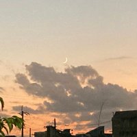山田太郎 (@seisei0124) 's Twitter Profile Photo 山田太郎 (@seisei0124) 's Twitter Profile Photo