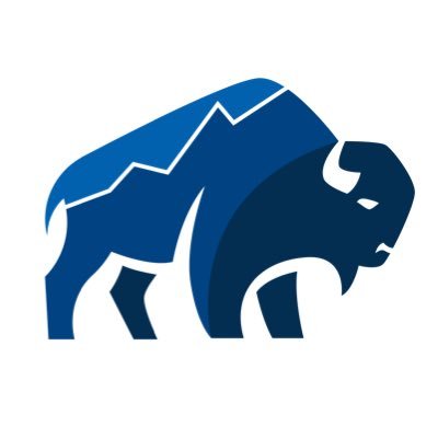 bisoncfo's profile picture. We help small and medium businesses level up their finances to achieve better outcomes.