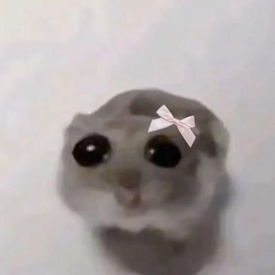 oksrish's profile picture. 