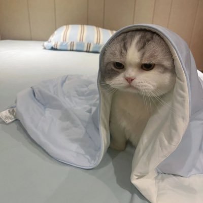 duruy299's profile picture. öncelikle benim babam savcı