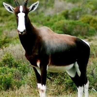 BehavEconFindex's profile image