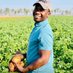 Farmer-In-Chief (@mambomatienga) Twitter profile photo Farmer-In-Chief (@mambomatienga) Twitter profile photo