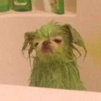 Makash88's profile picture. 🇬🇹🇺🇸🇲🇦 Free Palestine!! 🇵🇸