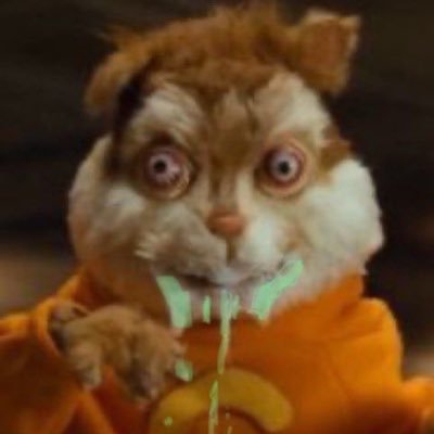 zocida162's profile picture. 