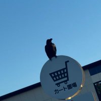 ๐ฌ (@s2sakuraame) 's Twitter Profile