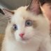 เรียลจุ๊มุ 👑✨ (@jujunanana_) Twitter profile photo เรียลจุ๊มุ 👑✨ (@jujunanana_) Twitter profile photo