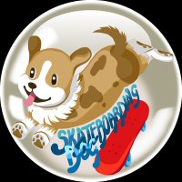 skateboarding dog (@sk8boardingdog) 's Twitter Profile