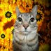 gr8ness GD (@gr8ness0767) Twitter profile photo gr8ness GD (@gr8ness0767) Twitter profile photo