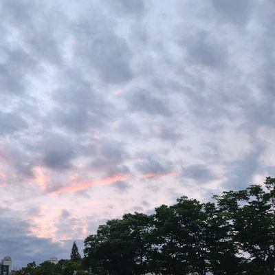 RoDGLI99's profile picture. 