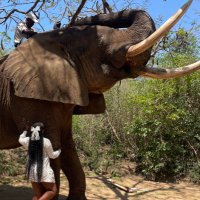 Koketso (@koketsojessica) 's Twitter Profile
