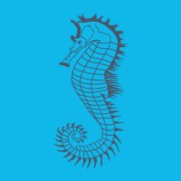 Salty Wave (@saltywave) 's Twitter Profile Photo Salty Wave (@saltywave) 's Twitter Profile Photo