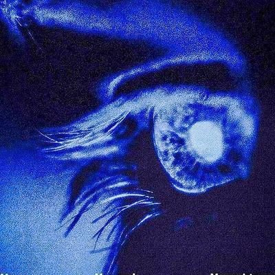 jay834963446921's profile picture. 18