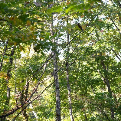 Taka1788302's profile picture. 怪しいアカウント以外はフォロバします！RTしてる写真は基本的に撮影した写真になります。東北在住
もう一つのアカウント　@taka135711
片思いは7日まで