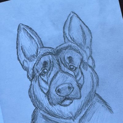 jtwits's profile picture. 