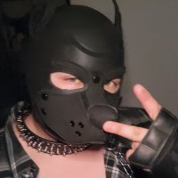 "BlueEyedGrizzly" AKA Titus @ LVFC! (@eyedgrizzly) 's Twitter Profile Photo