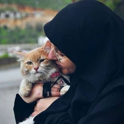 زندگی مانند یک کتاب است؛ هر روز یک صفحه جدید، و هر انتخاب ما داستانی متفاوت را رقم میزند. 📖✨