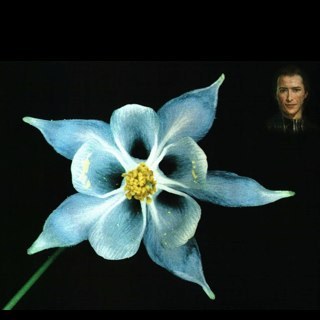 NelloBasile's profile picture. 